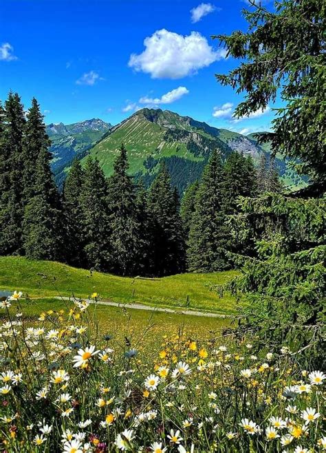 Pin by Brigitte HENRY on La montagne ça vous gagne Nature