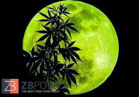 Tattoos N Things ZB Porn