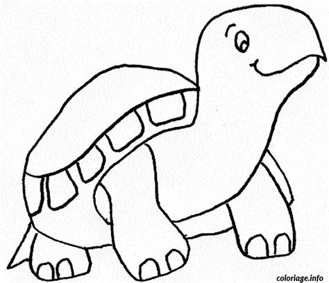 Coloriage Tortue Dessin