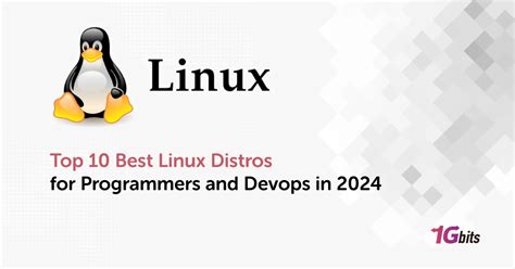 Top 10 Best Linux Distros For Programmers And Devops In 2024