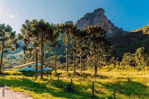 Espraiado Canyon with evergreen trees and house in Urubici, Santa Catarina, Brazil. Aerial view ...