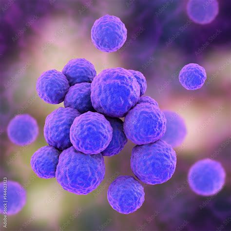 Methicillin Resistant Staphylococcus Aureus