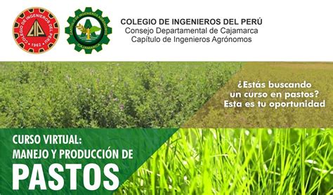 Curso Virtual Manejo Y Producci N De Pastos Colegio De Ingenieros