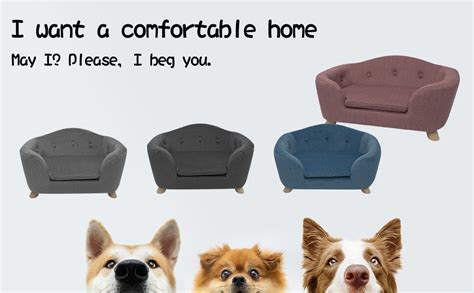 Amazon.com : SHAVI Pet Sofa Dog Couch for Small Pet Dog and Cats, Low ...