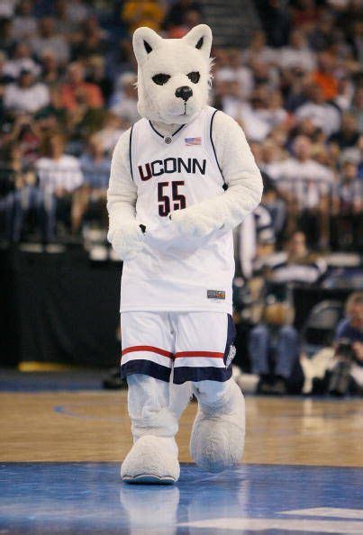 Uconn Jonathan The Husky Uconn Mascot Uconn Huskies