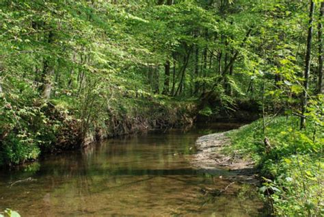 Auw Lder Bund Naturschutz In Bayern E V