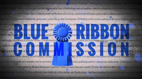 The Blue Ribbon Commission Youtube