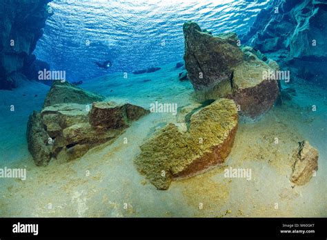 Scuba Diving In Silfra Fissure Thingvellir National Park Iceland