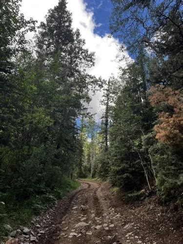 10 Best Off Road Driving Trails In New Mexico Alltrails