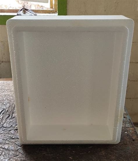 Thermofrost L Rectangular Thermocol Packing Box For Packaging At