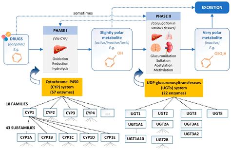 Pharmaceutics Free Full Text Artificial Intelligence In Drug