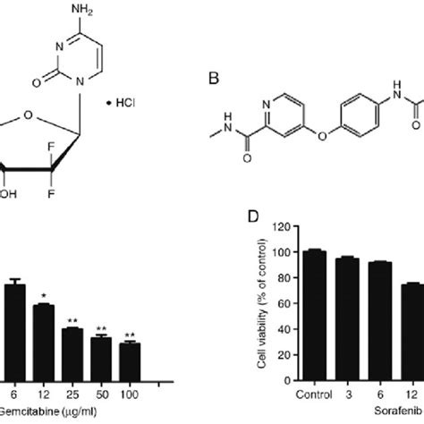 Dose Dependent Cytotoxic Effect Of Gemcitabine And Sorafenib On A