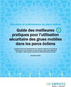 Guide Des Meilleures Pratiques Pour L Utilisation S Curitaire Des Grues