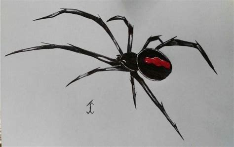 Pin By Mamototattoo Alex On Ale Spider Drawing Spider Tattoo Black