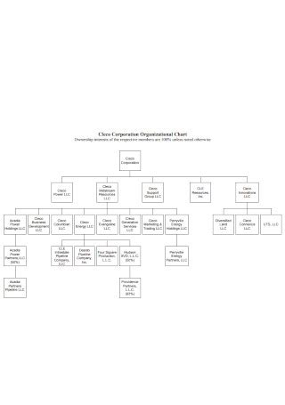 21+ SAMPLE Corporate Organizational Charts in PDF | MS Word