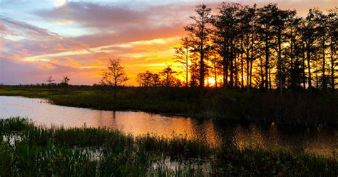 Sea Level Rise Threatens Everglades Restoration Yale Climate Connections