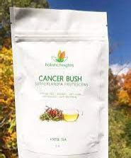 Cancer Bush Tea Holisticheights