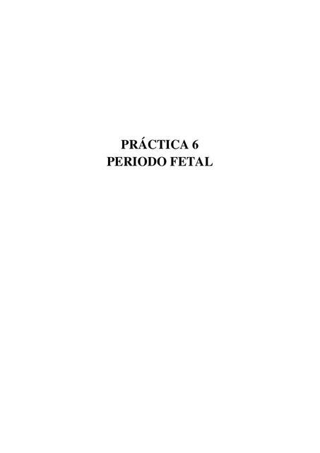 Practica Periodo Fetal PAULA MELINA MENDEZ MACIEL UDocz