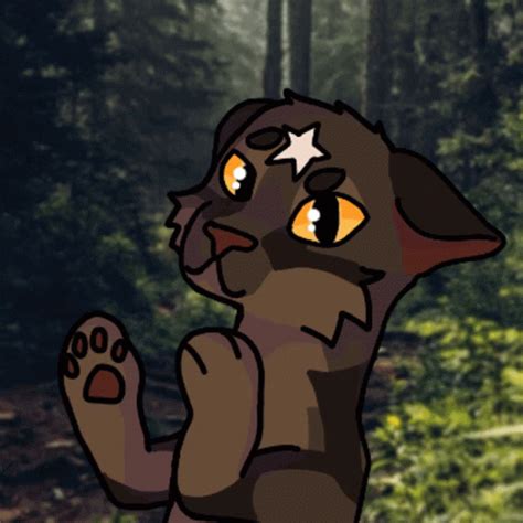 Clapping Warrior Cats Clapping Warrior Cats Bramble Star