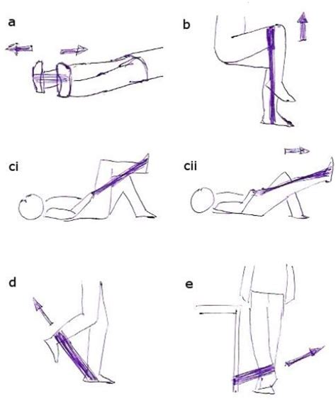 Theraband Exercise For Knee Outlet Dakora Co