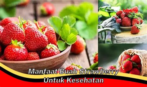 Temukan Manfaat Buah Strawberry Bagi Kesehatan Temuan Dan Wawasan