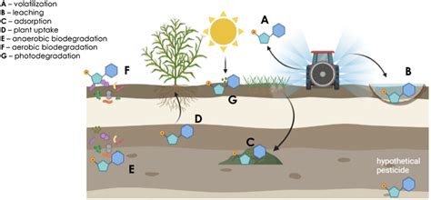 Scheme Of The Processes Influencing The Fate Of Pesticides In The