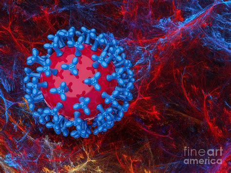 Coronavirus Capsid Photograph By Laguna Design Science Photo Library