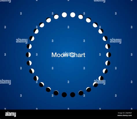 Moon Phases Circle Calendar Astronomy Vector Chart Lunar Wheel