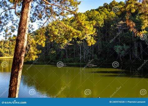 Lago De Parque Nacional Pang Oung Y Bosque De Pinos En Mae Hong Son