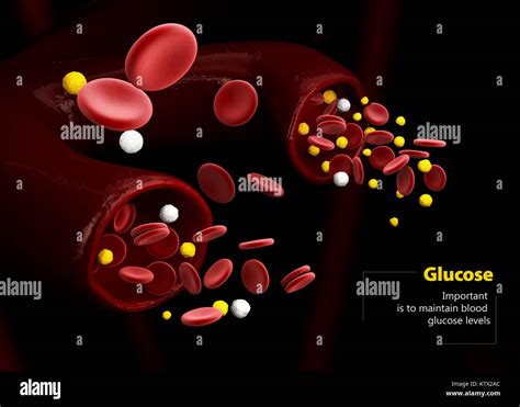 Ilustración 3D de nivel de glucosa en sangre El nivel normal la