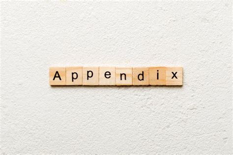 Appendix Word Written On Wood Block Appendix Text On Table Concept