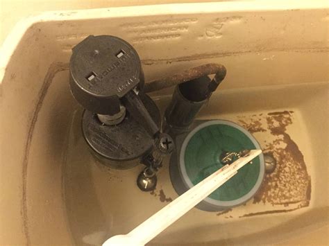 leak - Toilet tank fills after Shutoff valve is off and FluidMaster ...