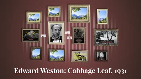 Edward Weston: Cabbage Leaf, 1931, by Furkan Yildirim on Prezi