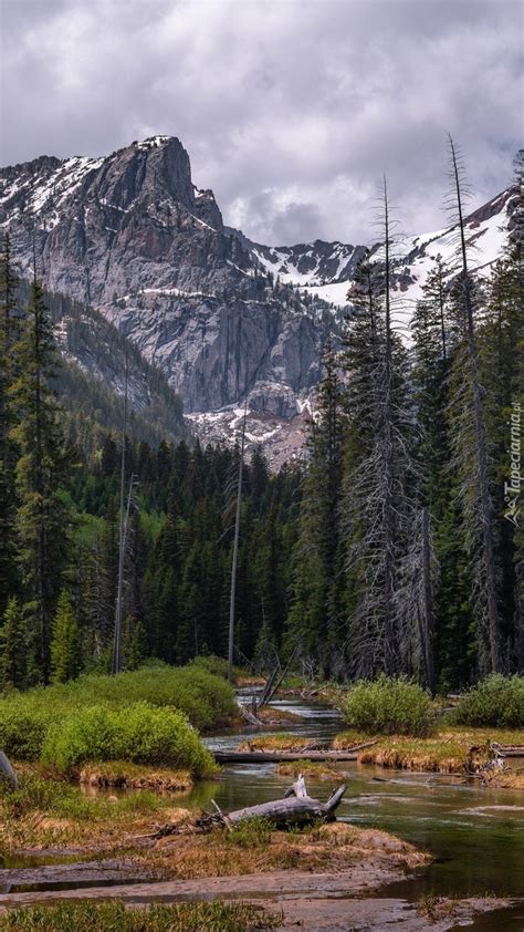 Rzeka W Parku Narodowym Grand Teton Tapeta Na Telefon