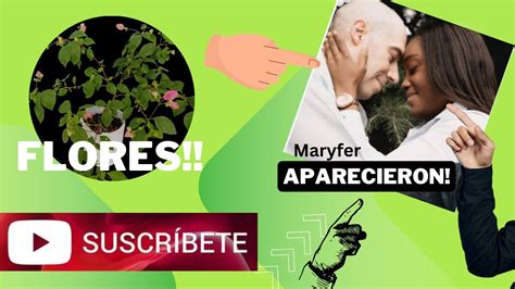 Mar Y Fer APARECIERON MaryFerVlogs YouTube