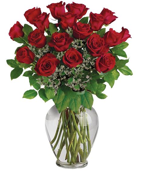 Long Stemmed Red Roses 12 Roses Red Roses Rose Romantic T