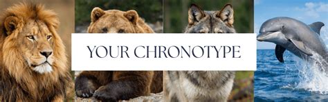 Chronotype Quiz Discover Your Natural Sleep Type Sleep Dreams Online