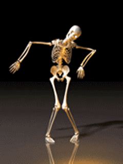 Dancing Skeleton GIF - Find & Share on GIPHY