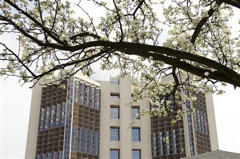 Illinois State University Campus | Illinois state university, Illinois ...