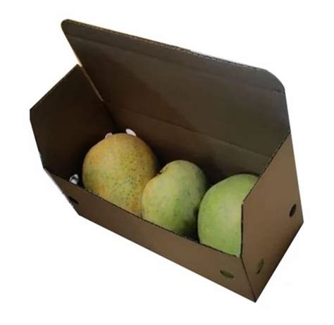 Single Phase Ply Brown Printed Corrugated Fruit Packaging Box At Rs