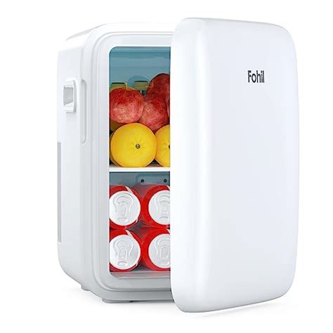 Flamingueo Mini Frigo De Chambre 10L Petit Frigo 12V 220V Fonction