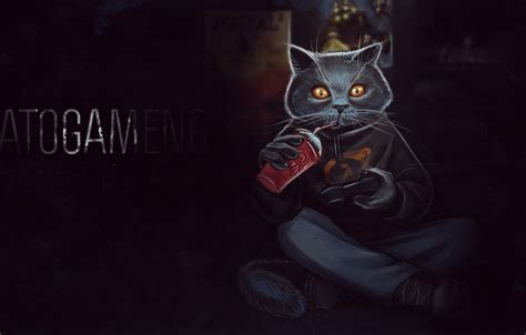 Gaming Cat Wallpapers Wallpaper Cave