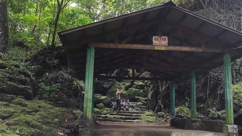 Mahiwagang Pusang Gubat Sa Loob Ng Gubat Ng Sta Lucia Sa Bundok