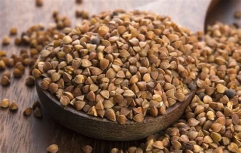 Everything You Need To Know About The Super Seed Buckwheat Or Kuttu