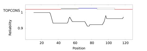 Topcons Consensus Prediction Of Membrane Protein Topology And Signal