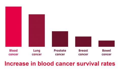 Blood Cancer Treatment Know How You Can Win The Battle Against Blood