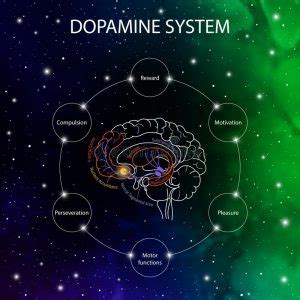 how to know my dopamine level