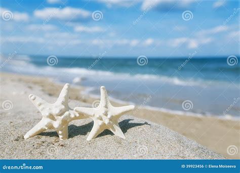 White Starfish With Ocean Beach Sky And Seascape Stock Photo Image