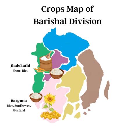 Infographic: Crops of Bangladesh