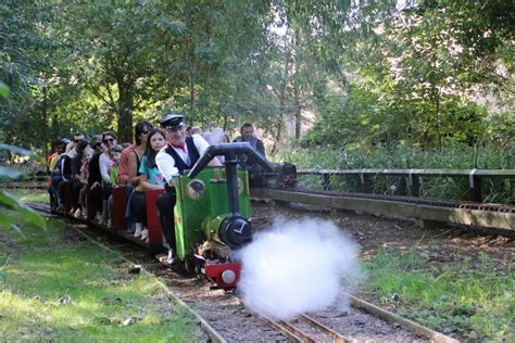 Narrow Gauge Passenger Hauling Loco And Driving Trolley In The